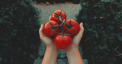 Факты о томатах и их влиянии на ваше здоровье