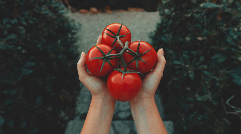 Факты о томатах и их влиянии на ваше здоровье